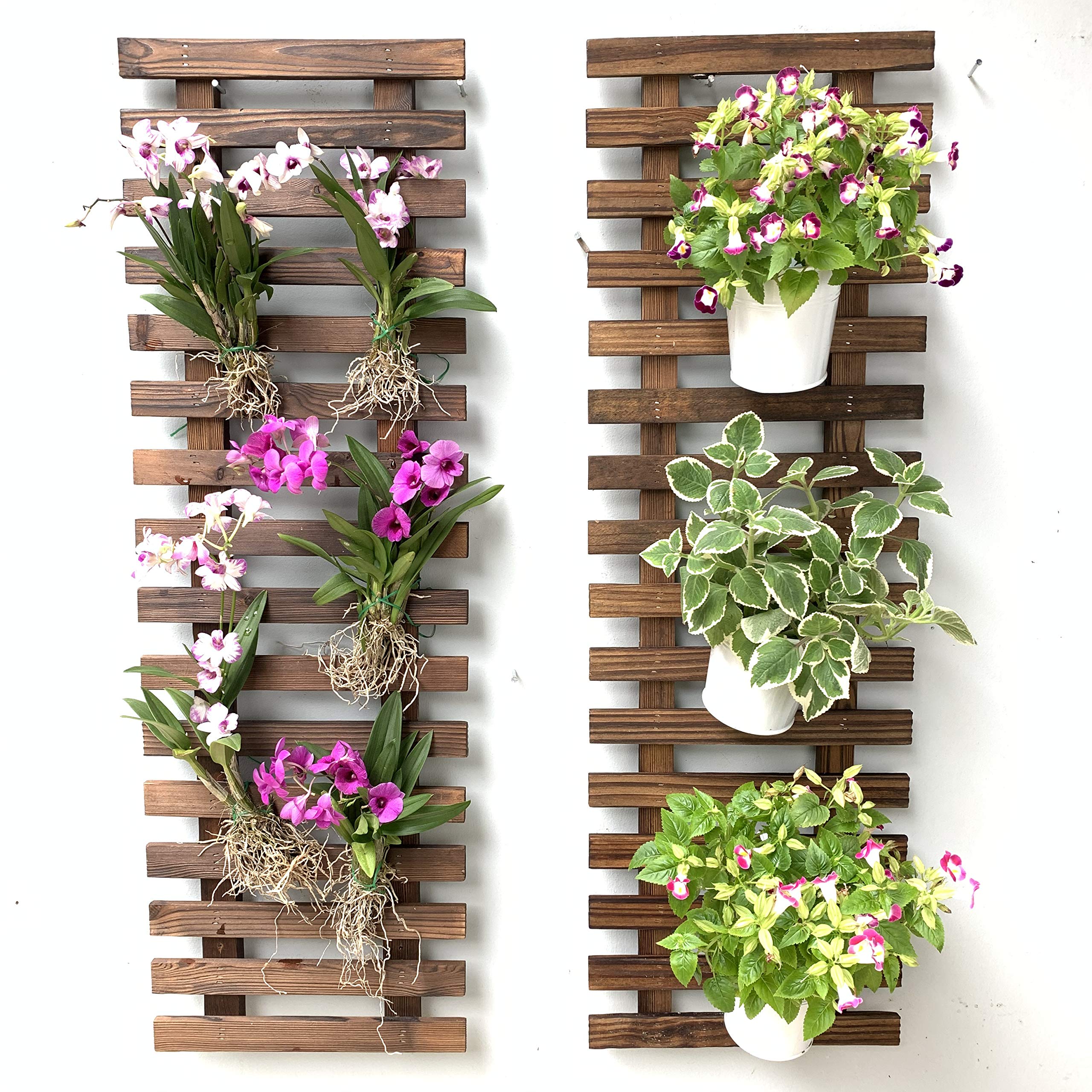 ShopLaLa front view of wooden wall planter showing slim vertical design and clean lines