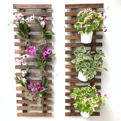ShopLaLa front view of wooden wall planter showing slim vertical design and clean lines