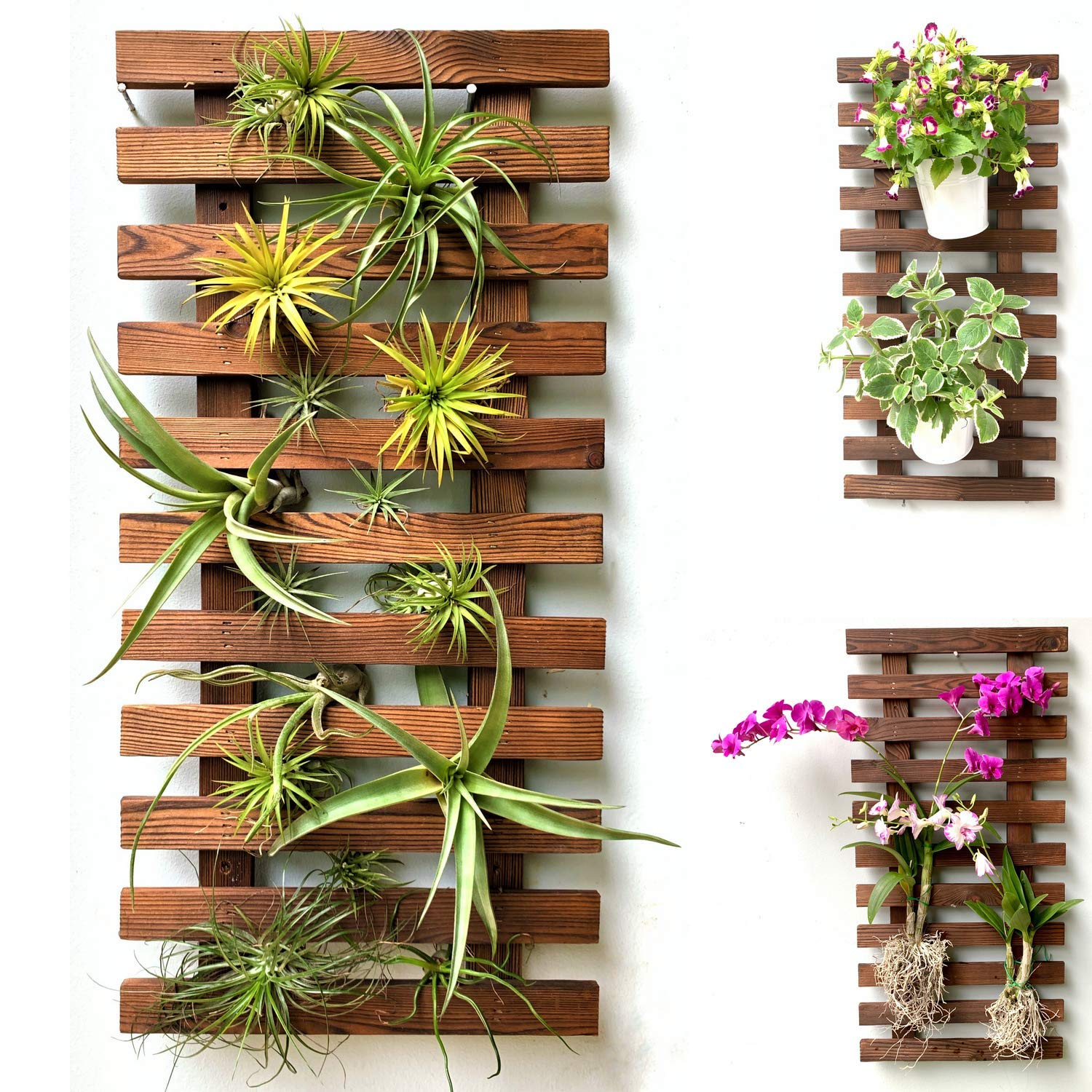 ShopLaLa wall planter front view showing warm wood finish and slim profile benefit: elegant display