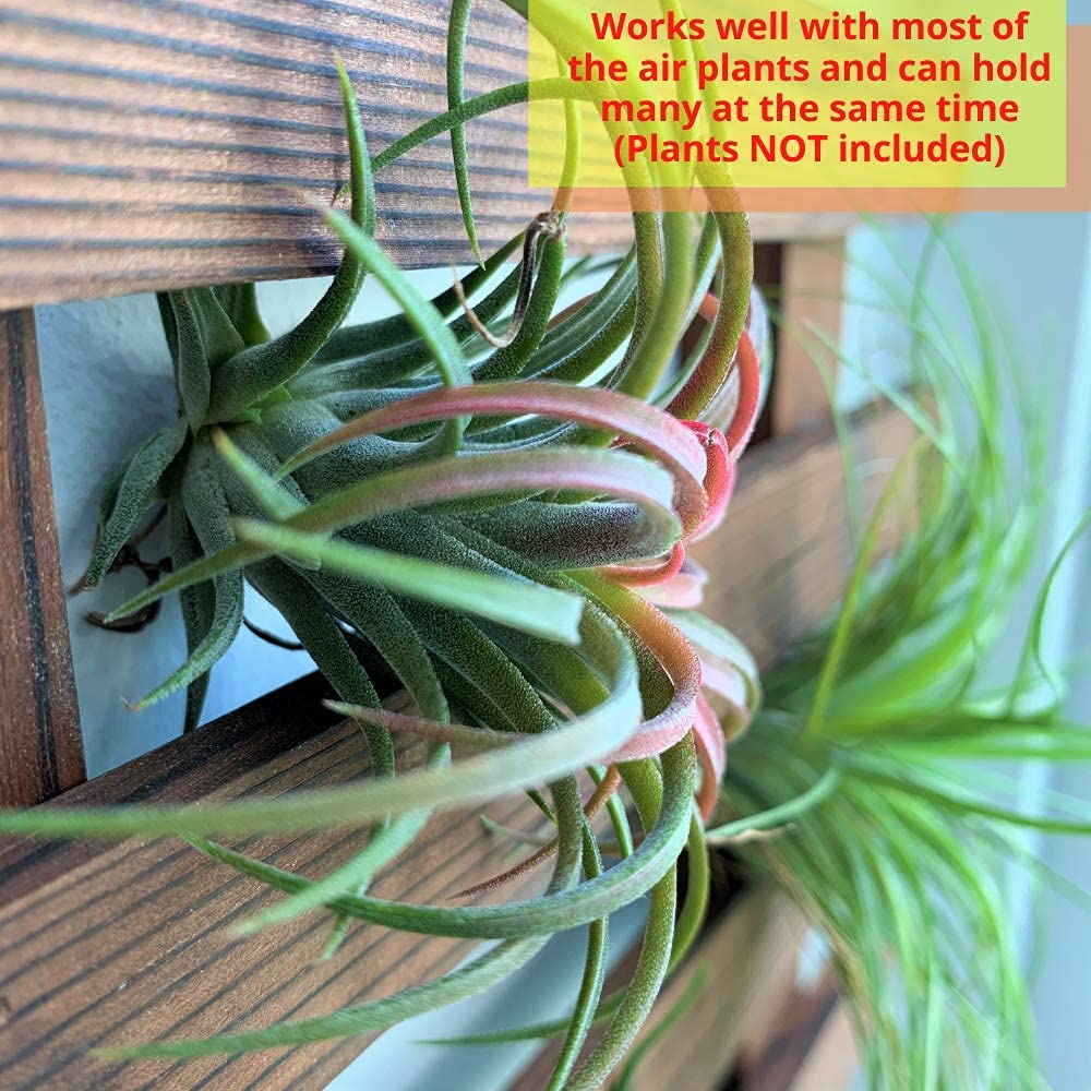 ShopLaLa planter mounted in living room demonstrating vertical space saving benefit: frees floor space