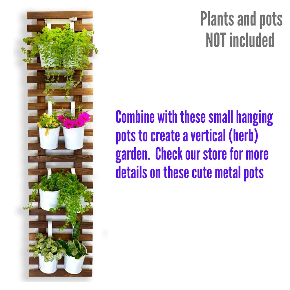 ShopLaLa trellis mounted on a porch adding vertical greenery and saving floor space