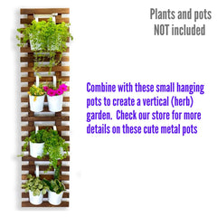 ShopLaLa trellis mounted on a porch adding vertical greenery and saving floor space