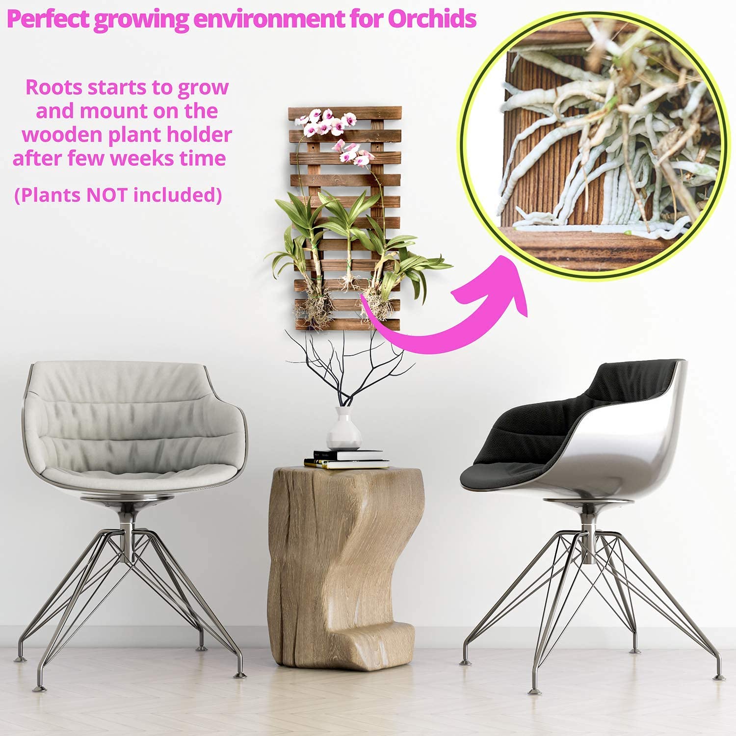 ShopLaLa side profile showing thickness and scale benefit: compact footprint