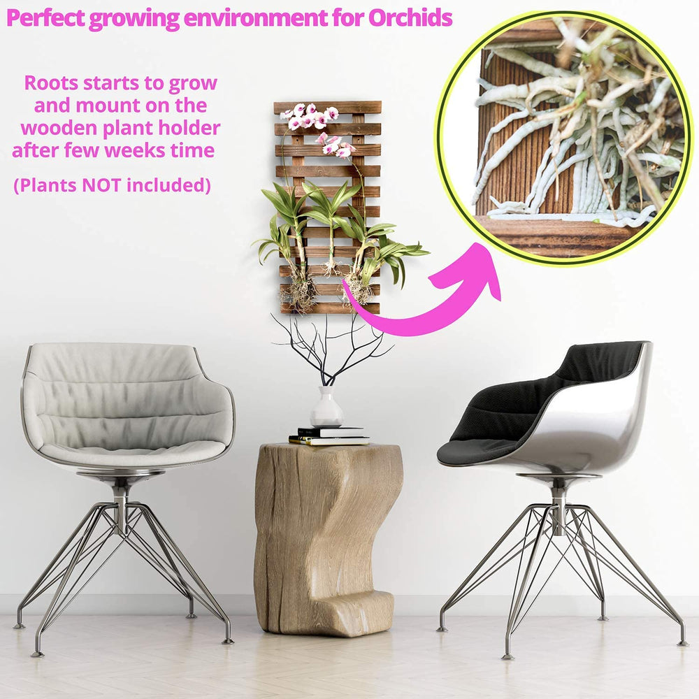 ShopLaLa side profile showing thickness and scale benefit: compact footprint