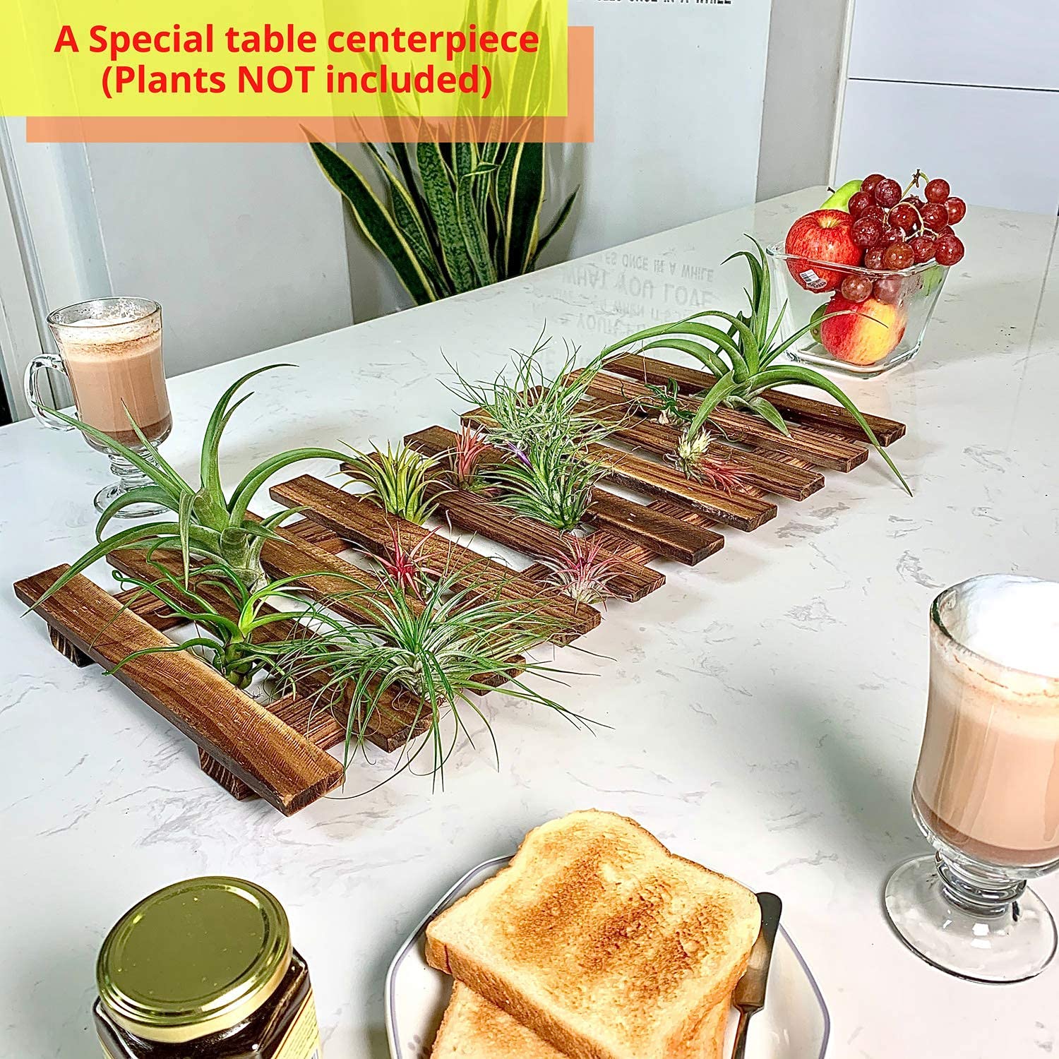 ShopLaLa planter styled with succulents showing arrangement ideas benefit: customizable displays