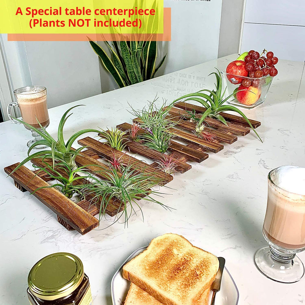 ShopLaLa planter styled with succulents showing arrangement ideas benefit: customizable displays