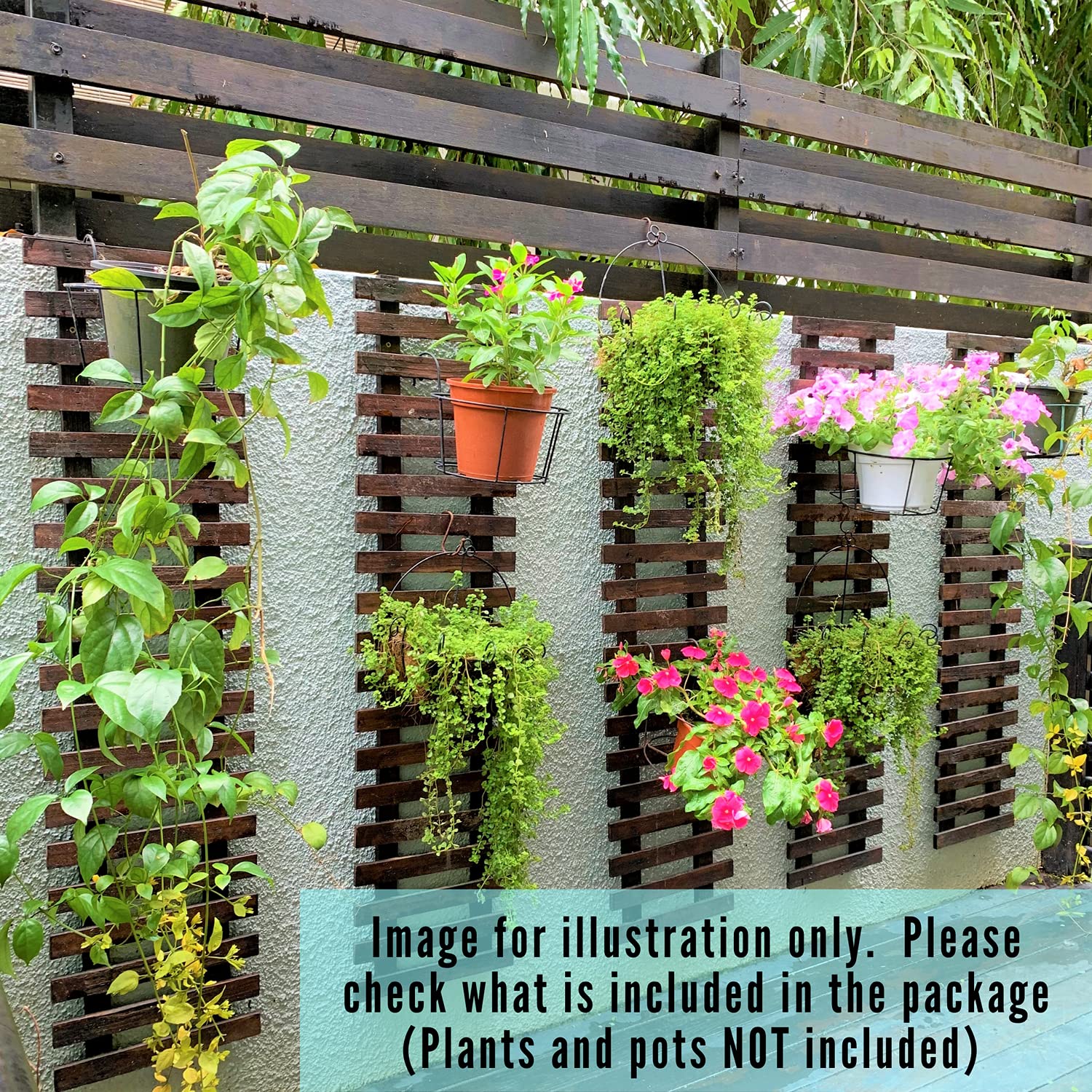 ShopLaLa planter with trailing plant showing support for vines and visual impact