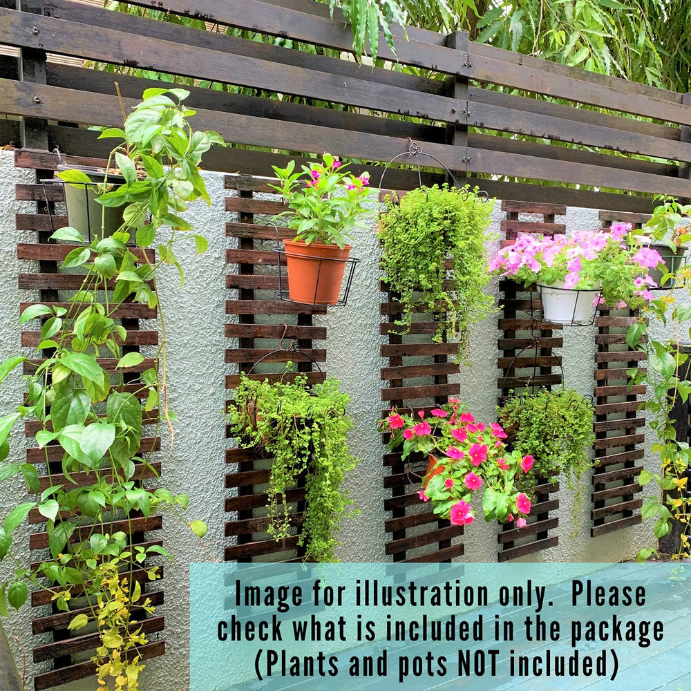 ShopLaLa planter with trailing plant showing support for vines and visual impact