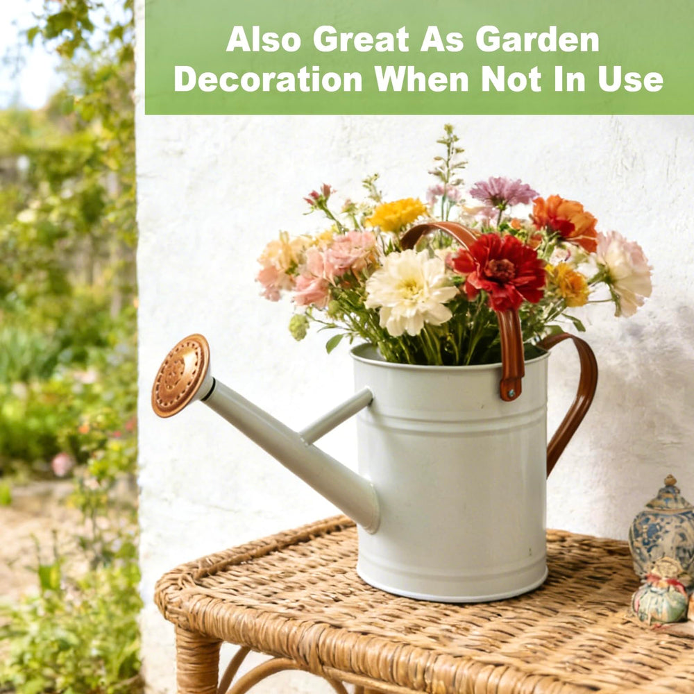 shopwithgreen used as decorative vase highlighting dual-purpose aesthetic benefit