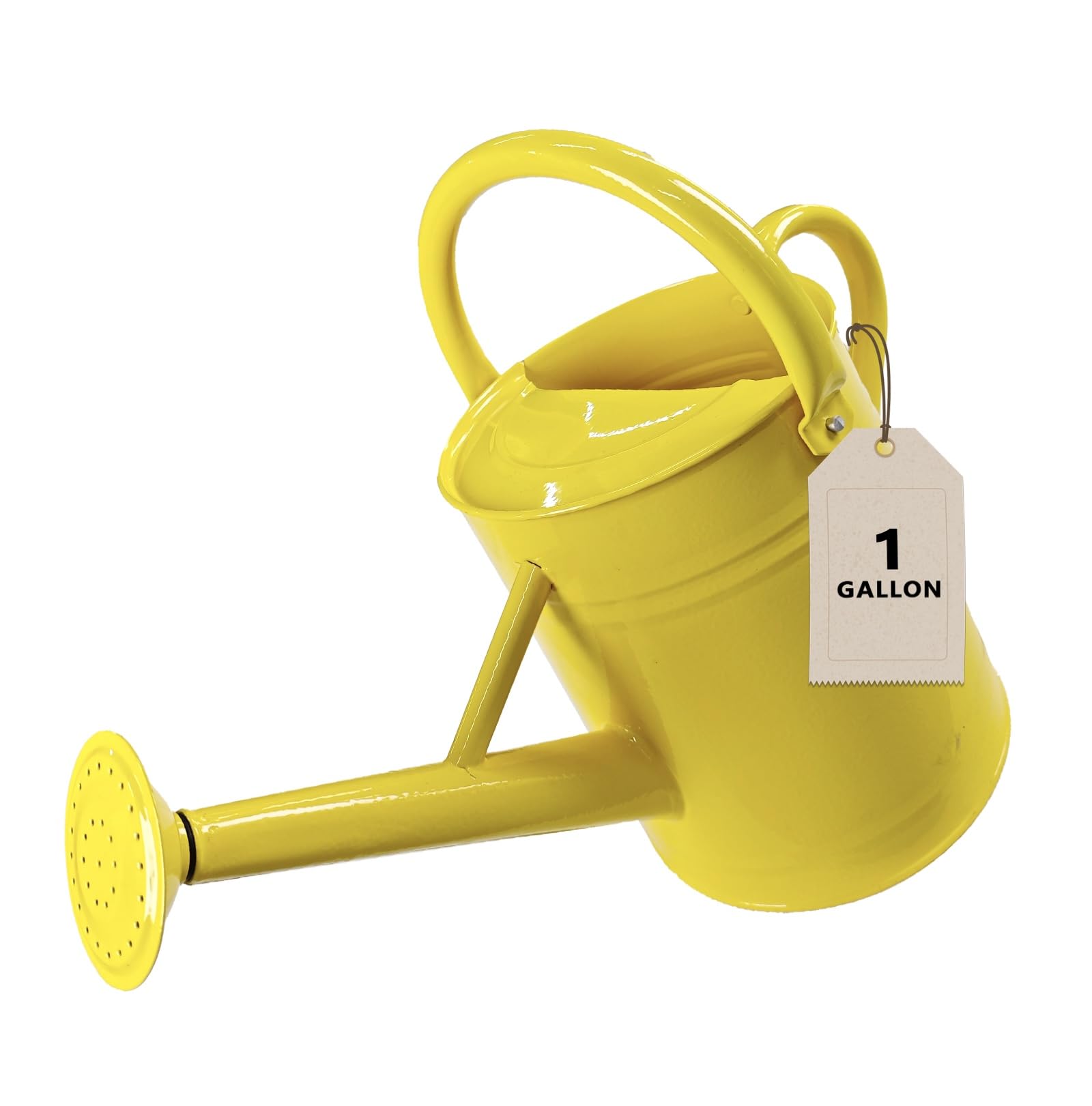 shopwithgreen front view gold watering can showing elegant shape and benefit of stylish storage