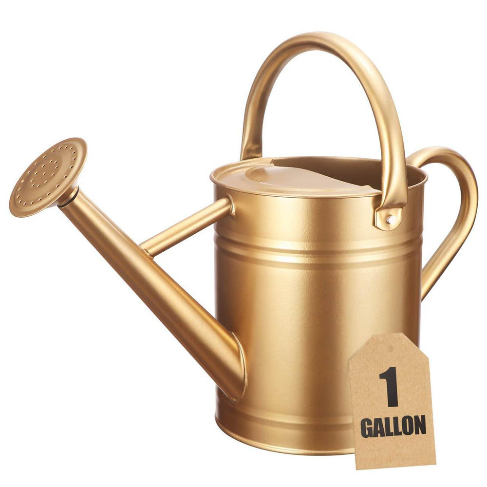 shopwithgreen front view metal watering can showing elegant gold finish and balance