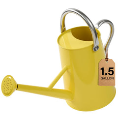 shopwithgreen gold watering can front view showing capacity and elegant finish