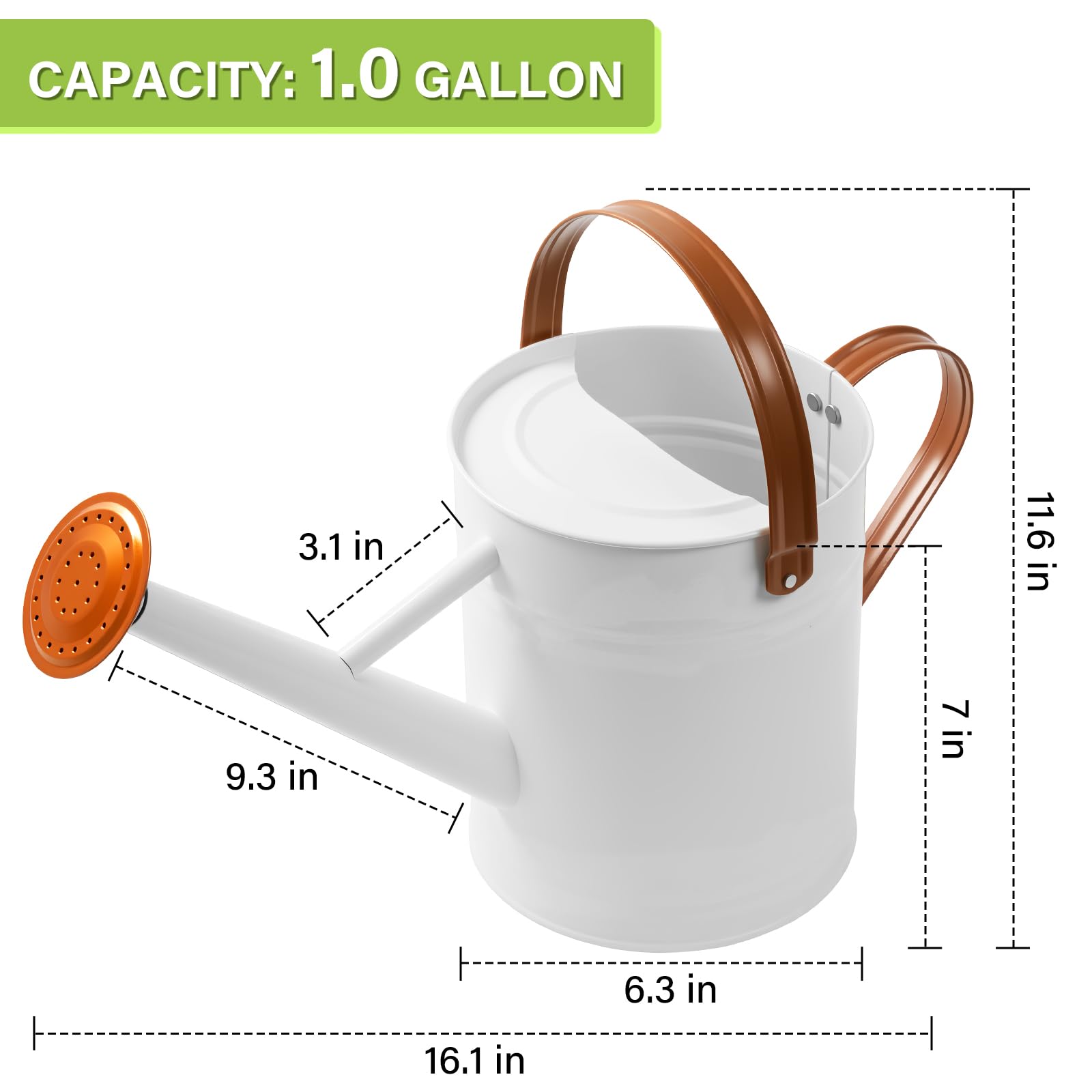 shopwithgreen watering indoor plants demonstrating controlled flow and ease
