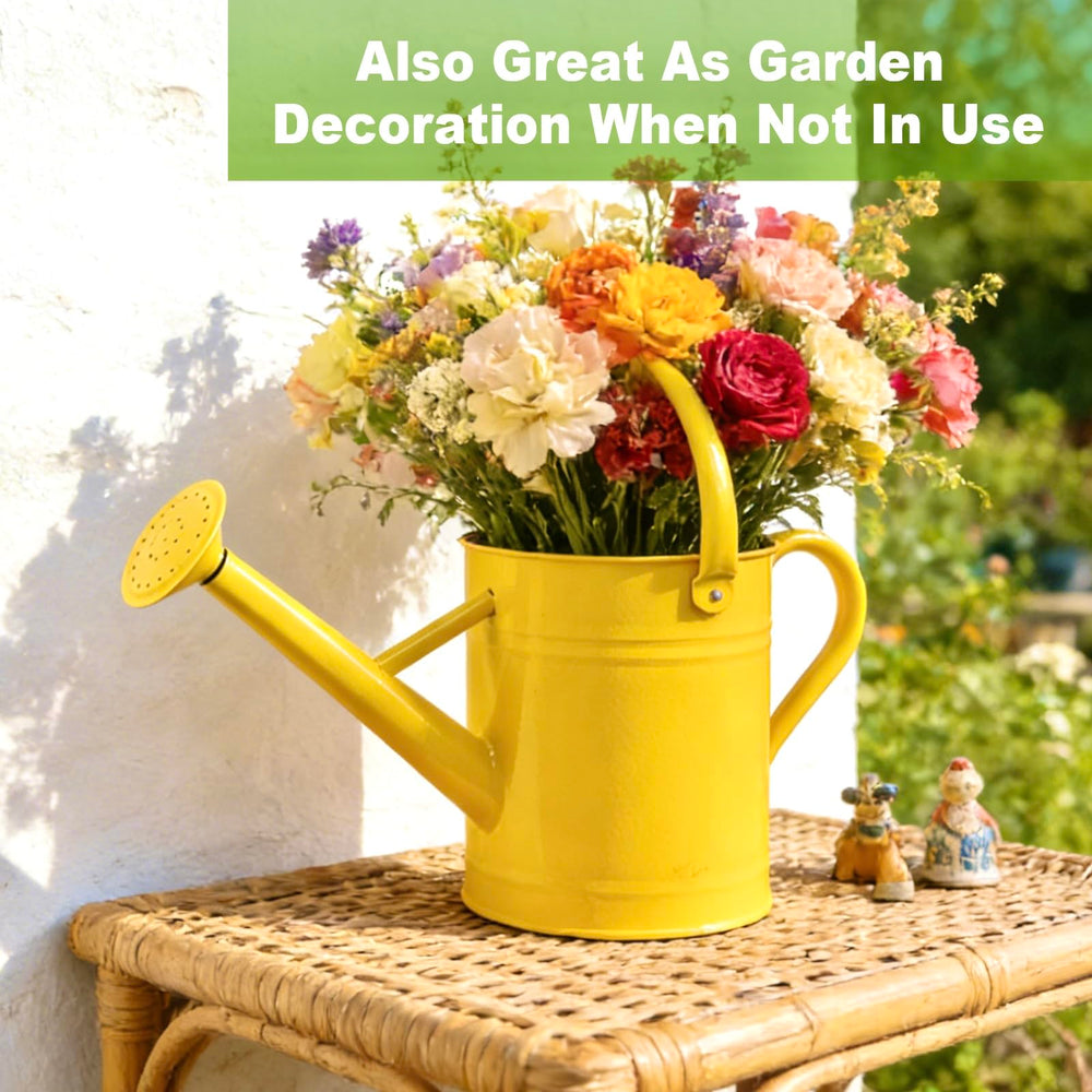 shopwithgreen displayed on patio shelf showing decorative appeal and easy access benefit