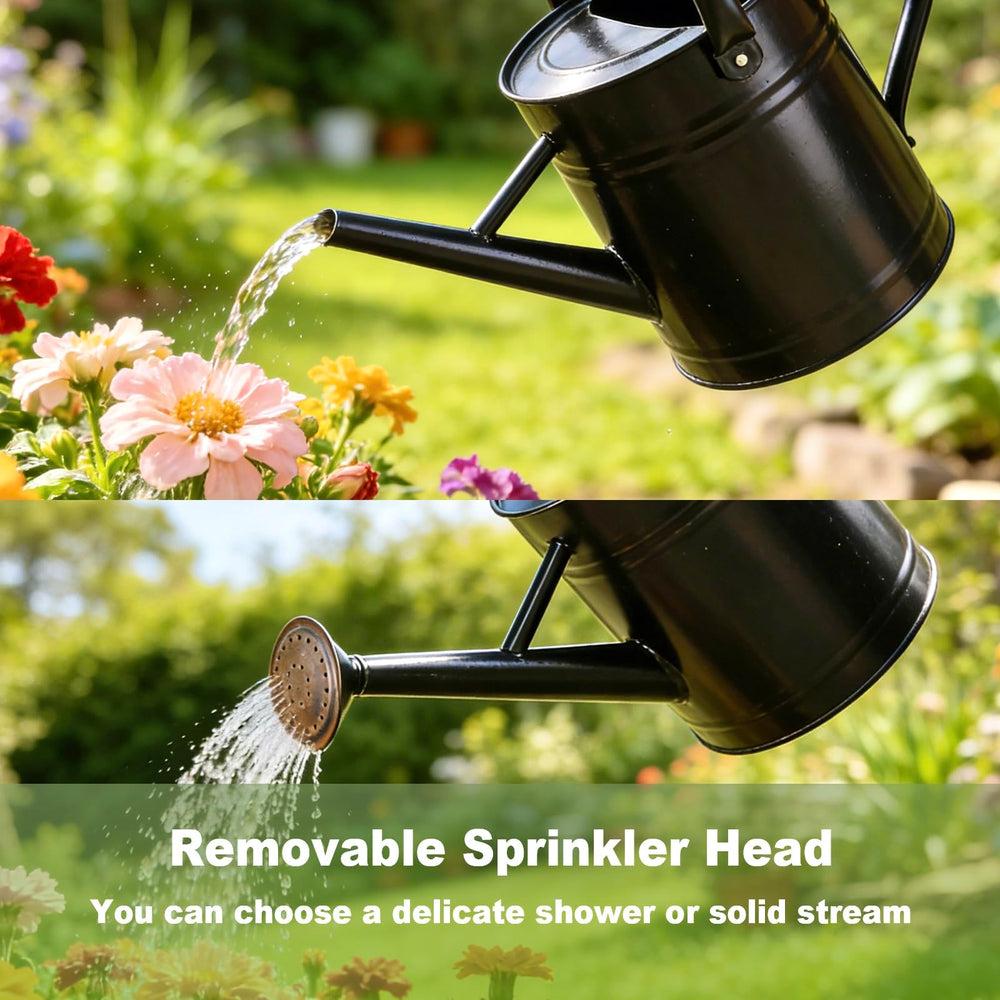 shopwithgreen pouring demo showing shower and stream watering versatility