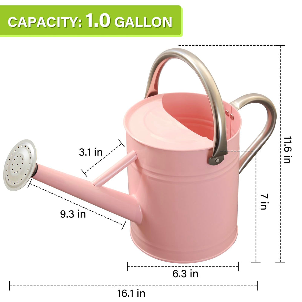 shopwithgreen scale comparison with hand to show 1 gallon capacity