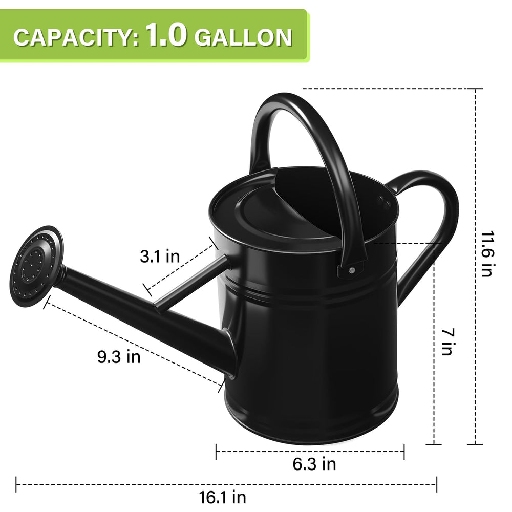 shopwithgreen scale comparison with measuring cup showing one gallon capacity