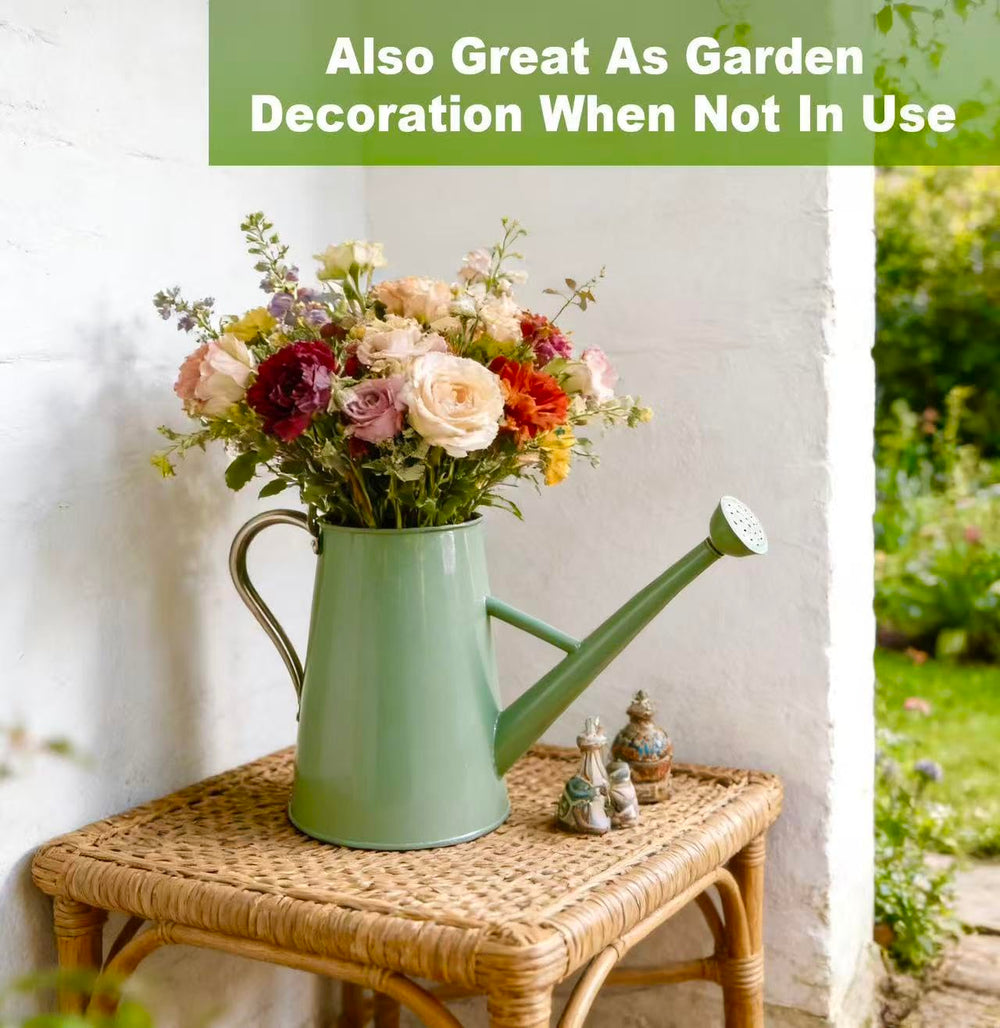 shopwithgreen used as decorative vase adding charm to home display
