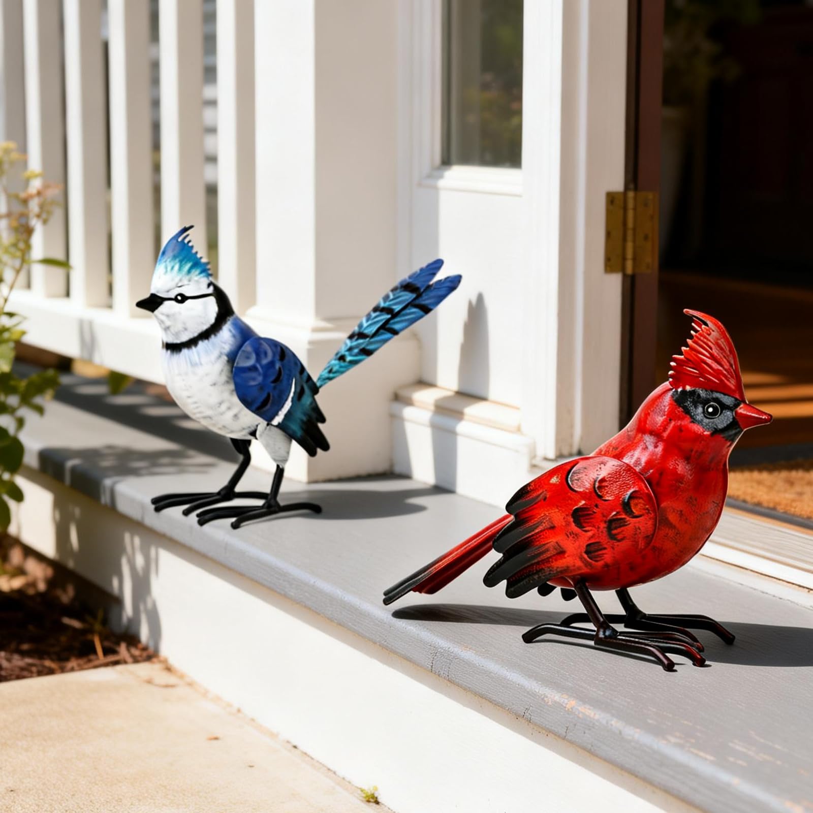 Shorayn perched on a plant pot showing easy porch or patio placement