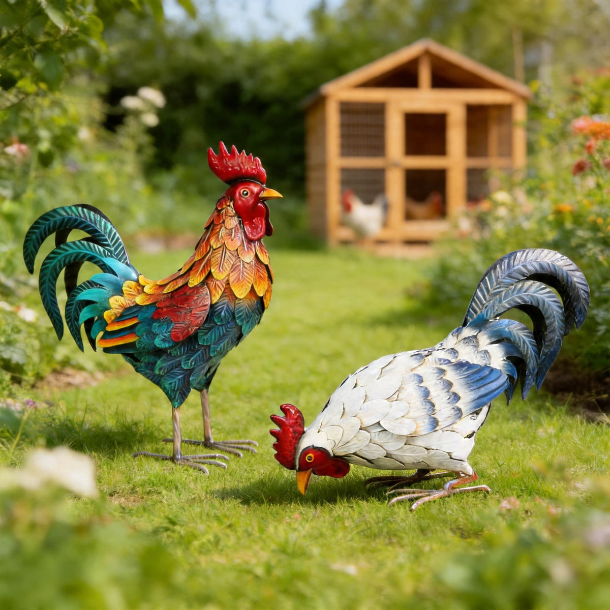Shorayn front view of two roosters adding colorful curb appeal