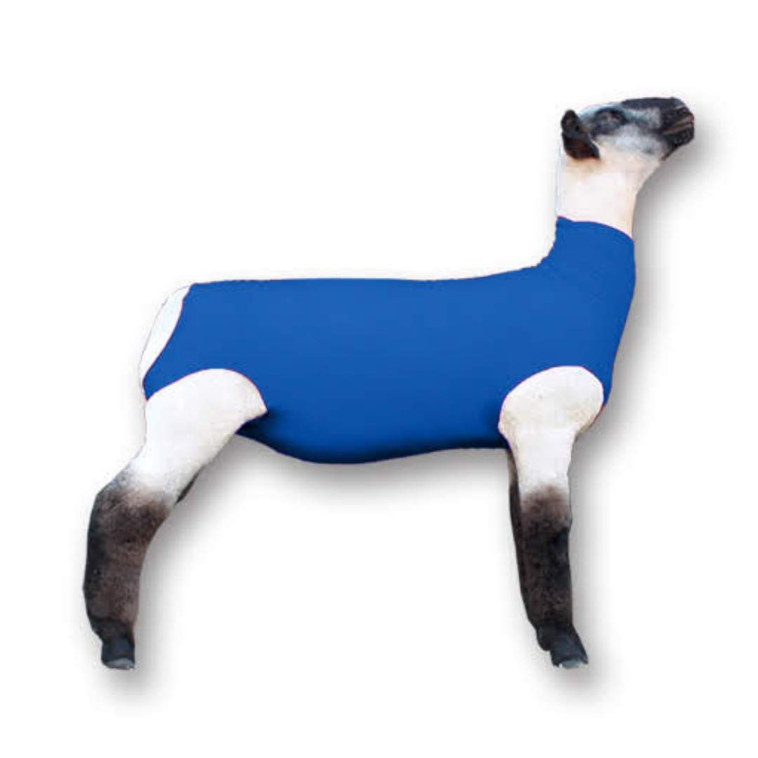 Showpro OUTFITTING CHAMPIONS front view of blue spandex lamb tube protecting wool