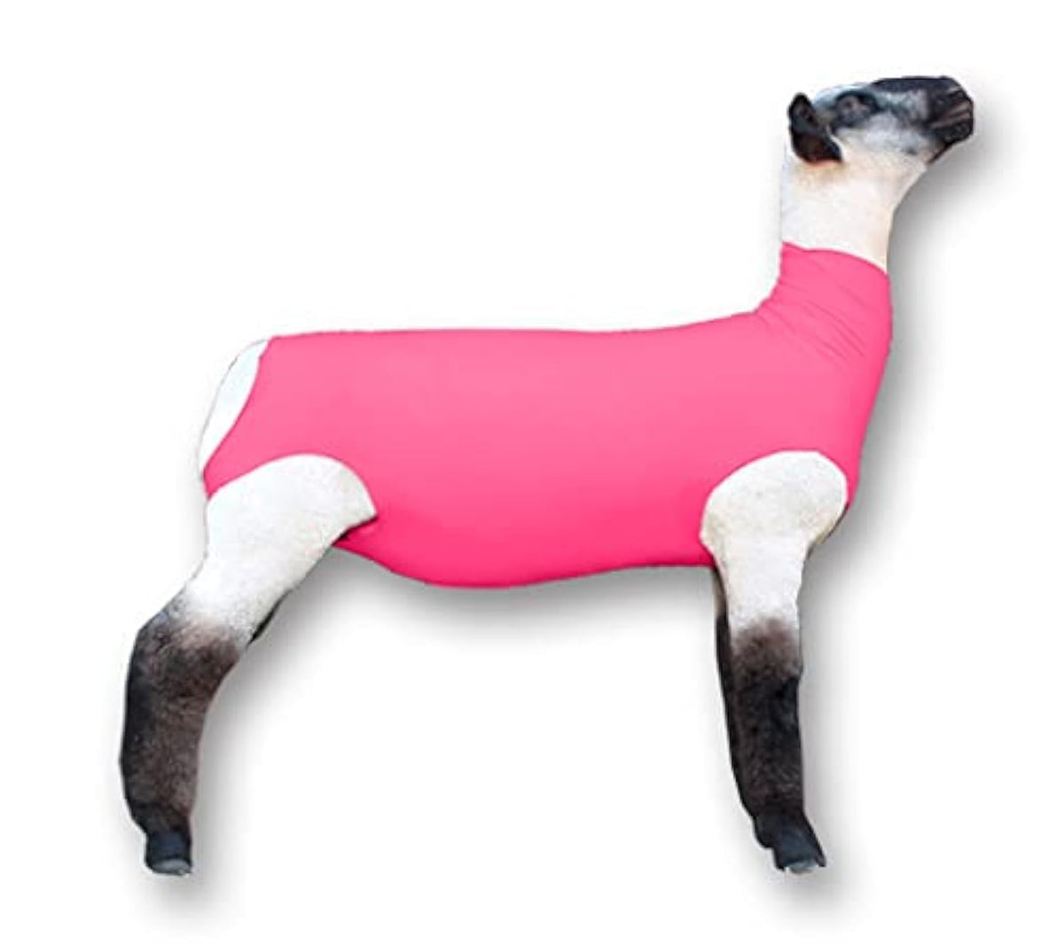 Showpro pink spandex lamb tube front view showing snug protection benefit