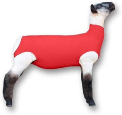 Showpro red lamb tube front view protecting fleece, clean appearance