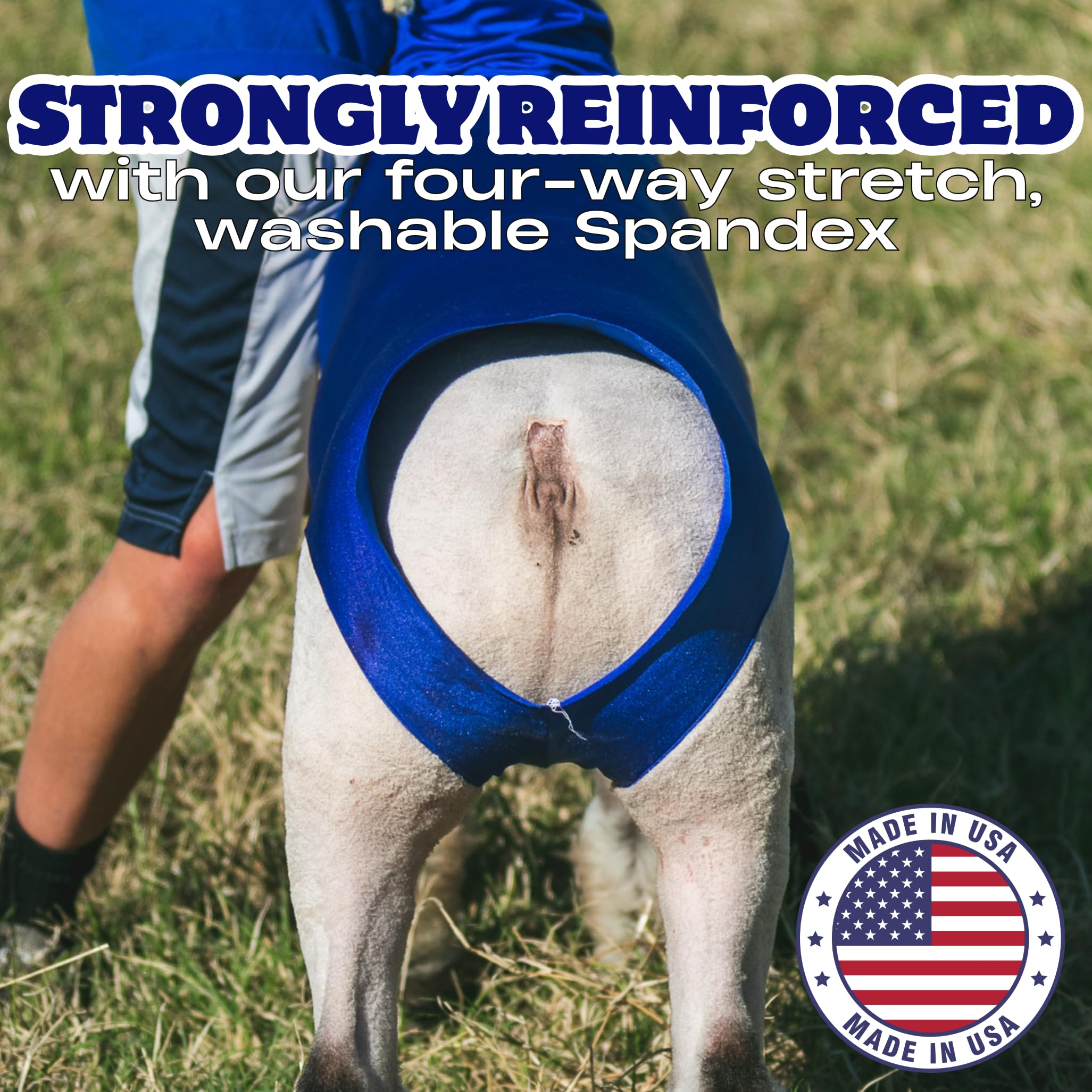 Showpro OUTFITTING CHAMPIONS size label and reinforced seams showing quality