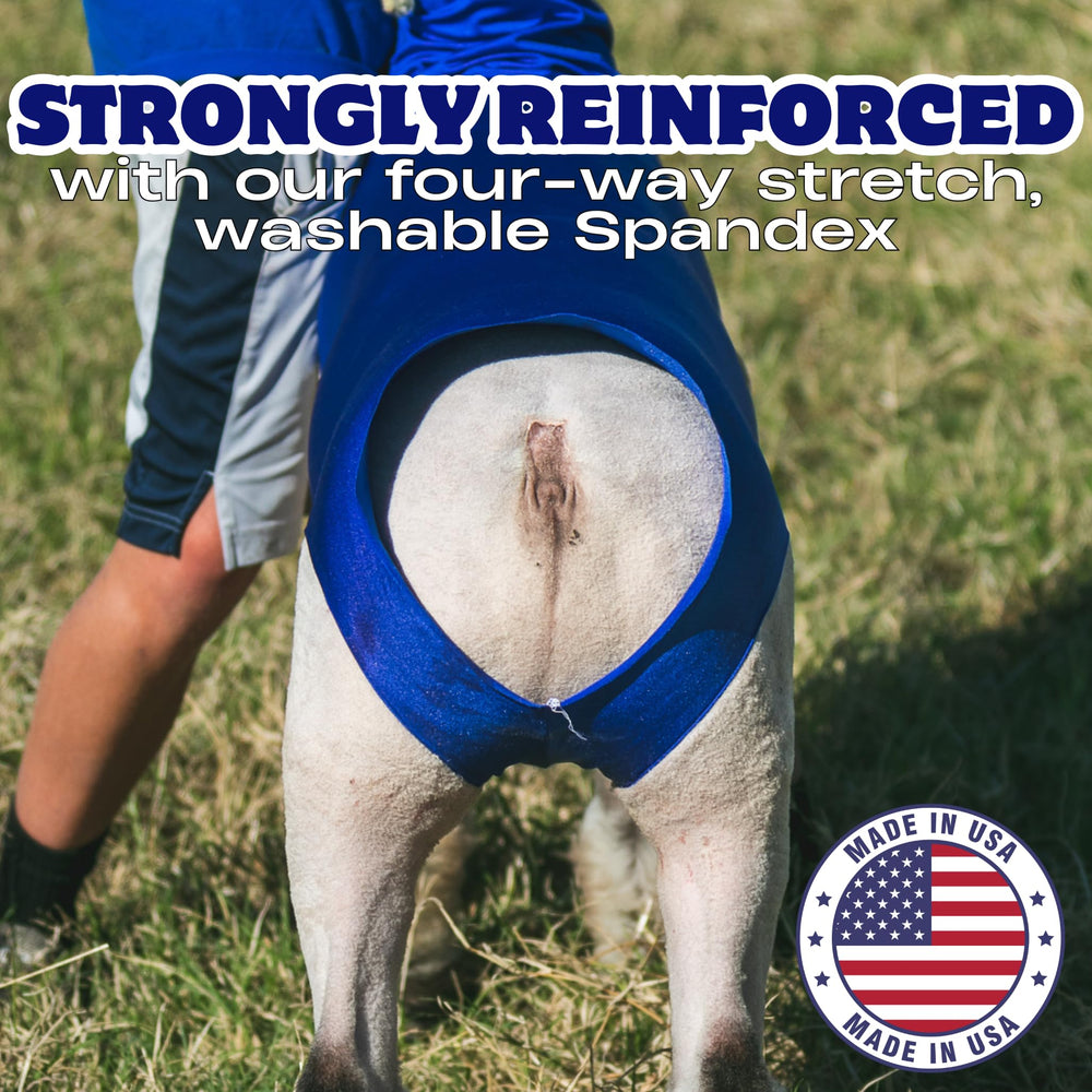 Showpro OUTFITTING CHAMPIONS size label and reinforced seams showing quality