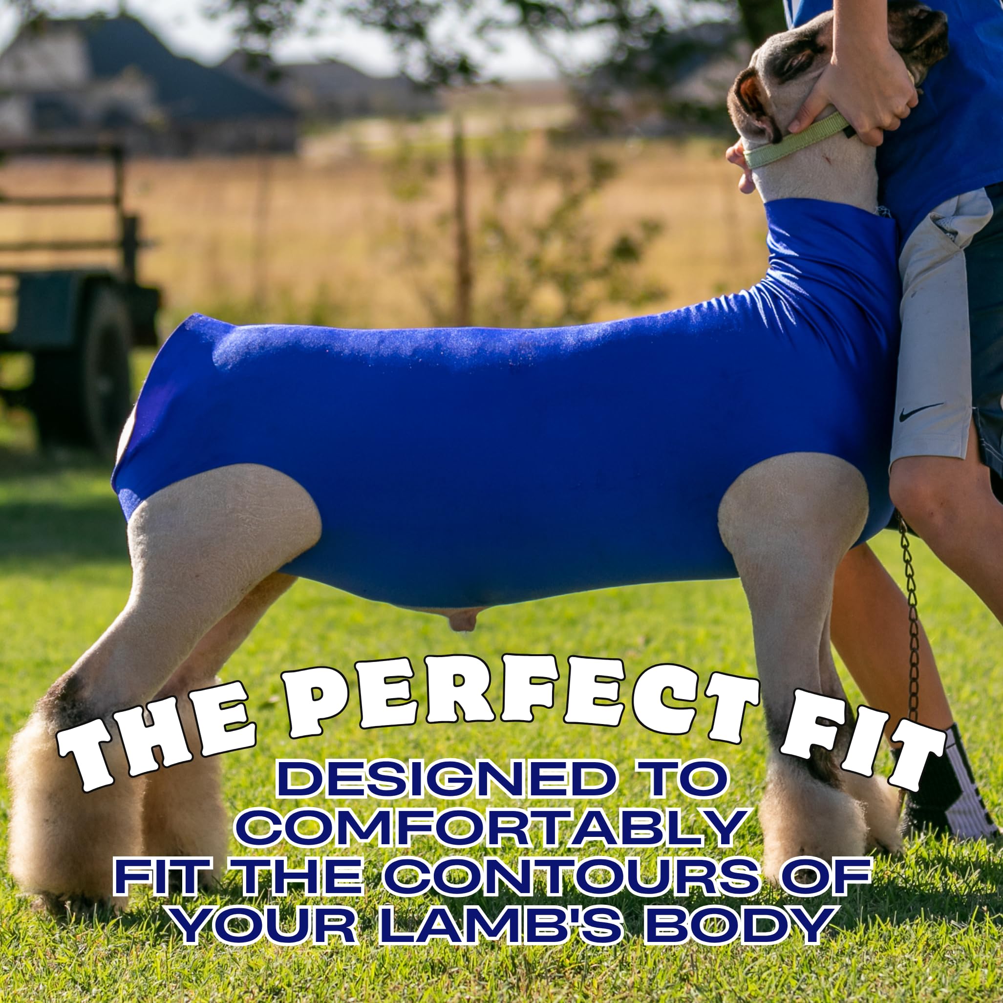 Showpro OUTFITTING CHAMPIONS back and tail fit showing snug coverage benefit