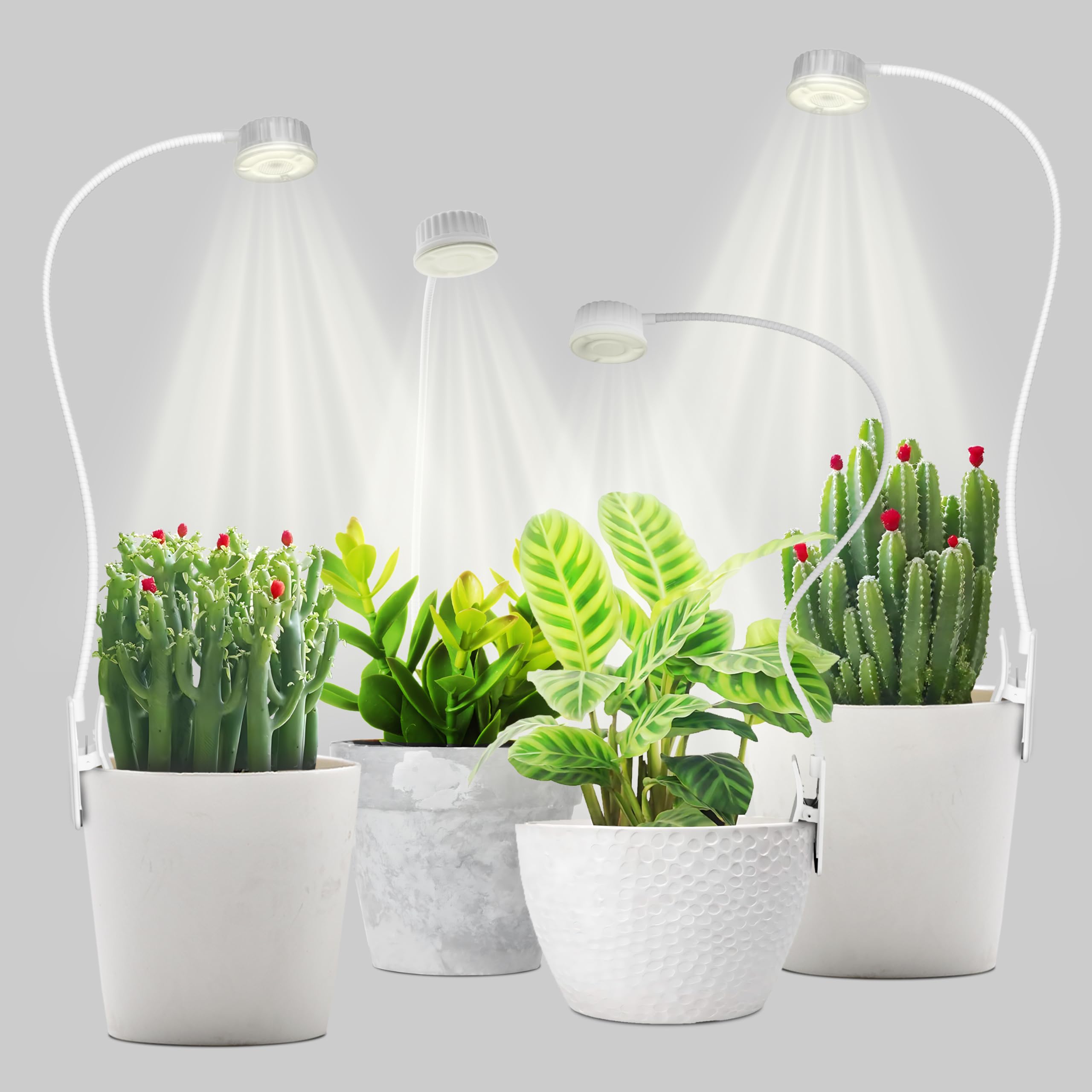 Shyineyou front view of four clip grow lights showing space-saving setup and even coverage