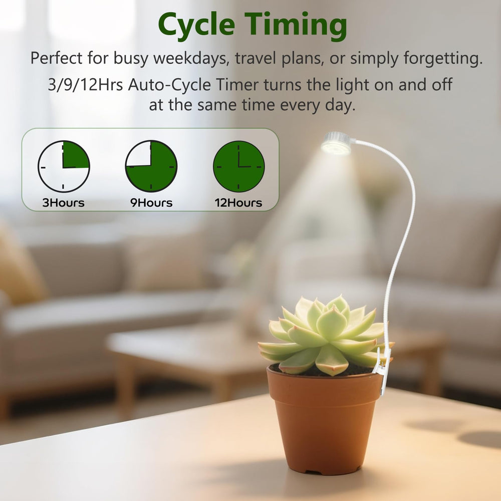 Shyineyou lamp on desk with succulents illustrating improved indoor plant vigor