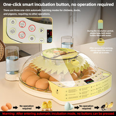 SHYLOME clear-view window top angle highlighting 360° observation and disturbance-free checks