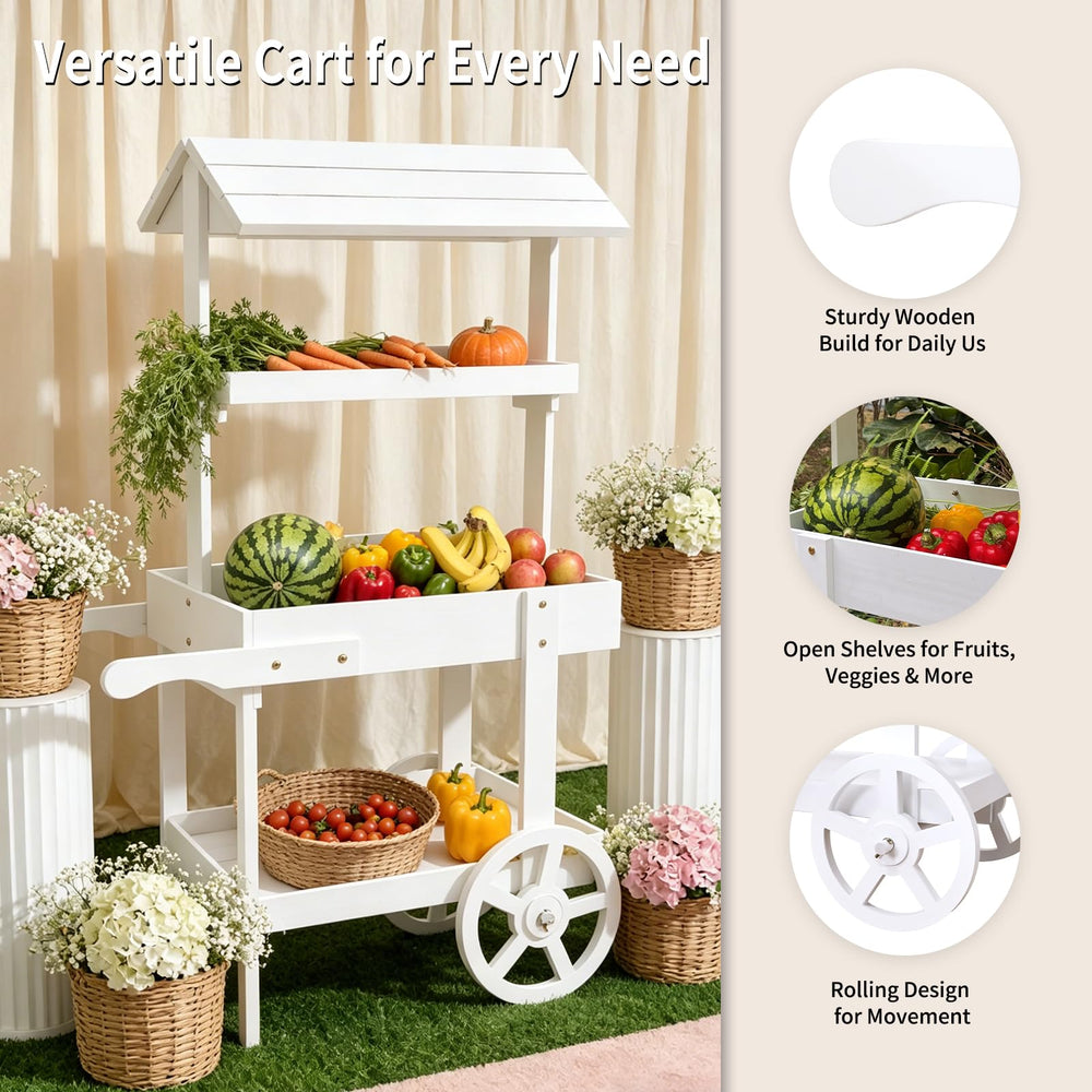 sicrifety wheel and handle detail illustrating decorative wheels and easy repositioning