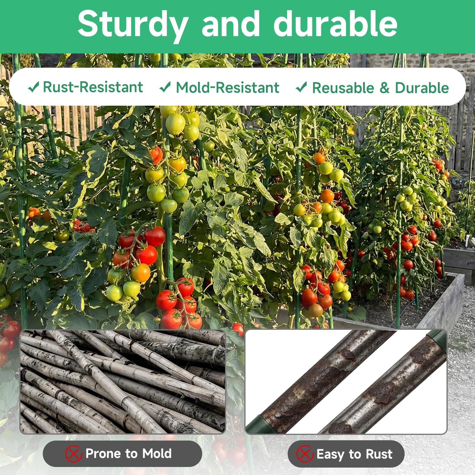 Sidefusi height-demo-setup stacked stakes demonstrating adjustable tall support