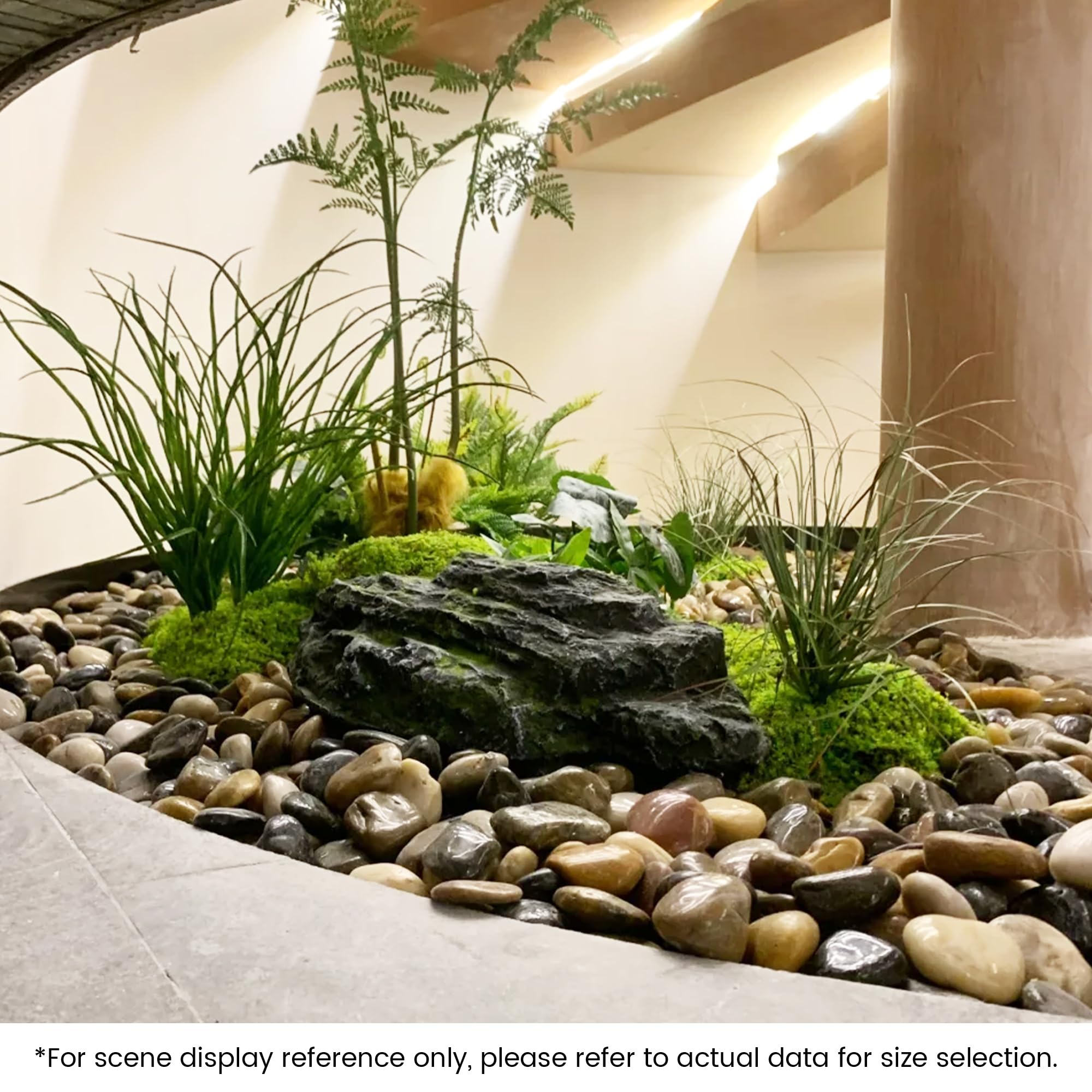 SIDONG aquarium setup with pebbles providing color contrast and safe substrate