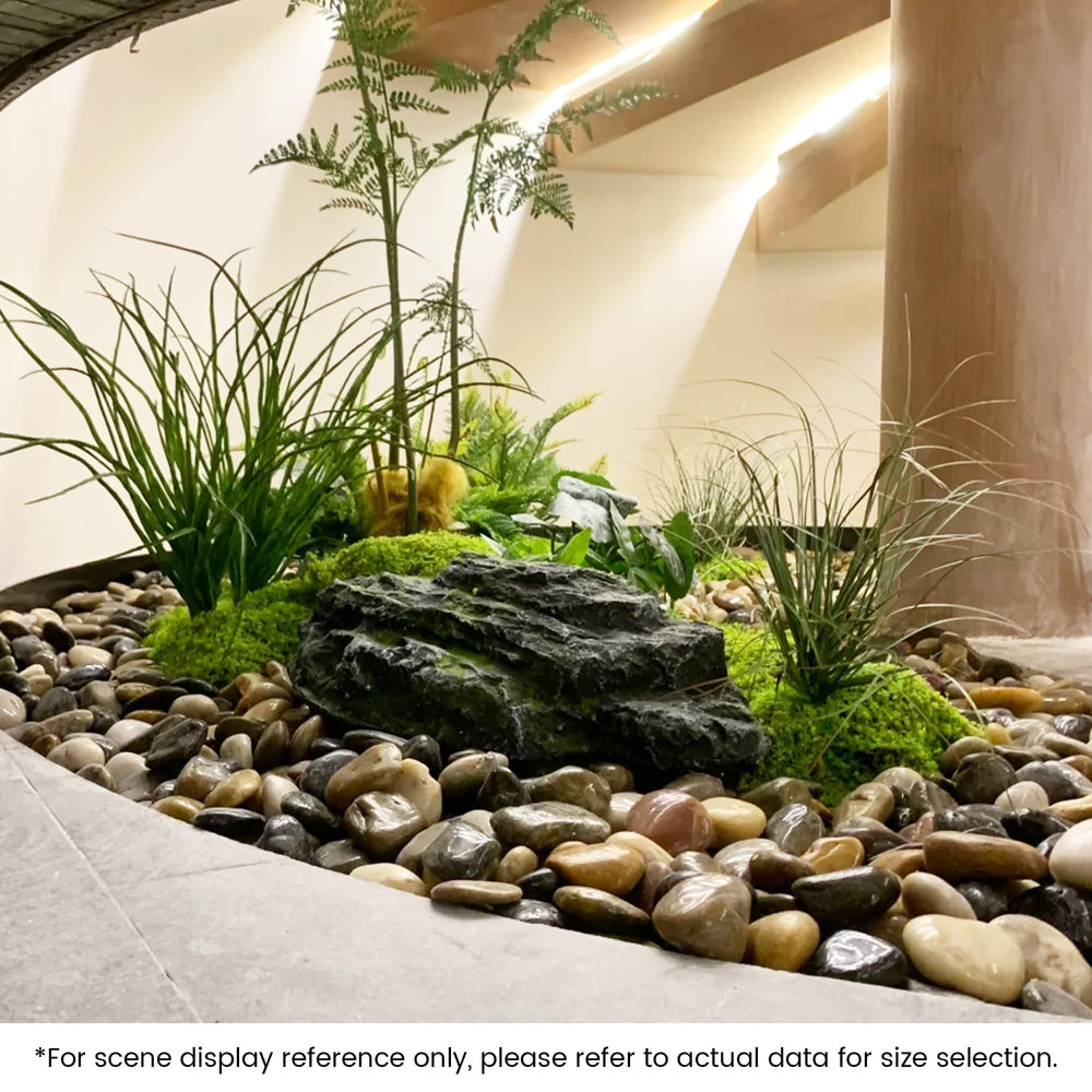 SIDONG aquarium setup with pebbles providing color contrast and safe substrate