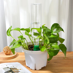 SiliFine transparent bottle showing visible water levels for easy refills