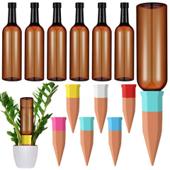 SiliFine front packaging showing six spikes and six bottles, convenient kit