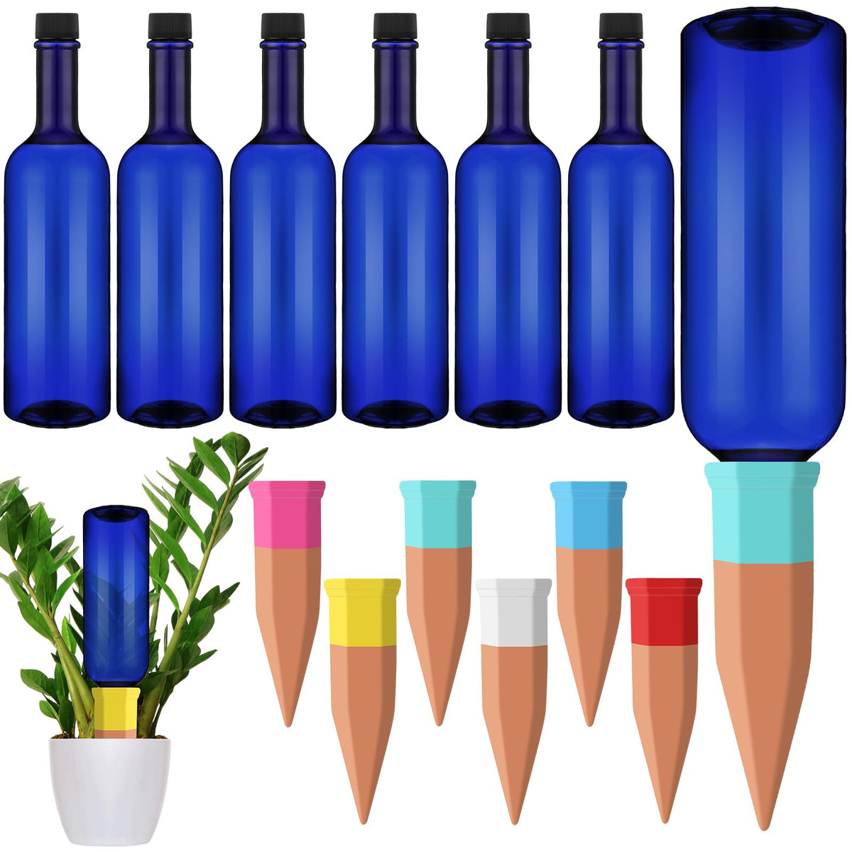 SiliFine front view of six blue bottles and six terracotta spikes, organized and ready
