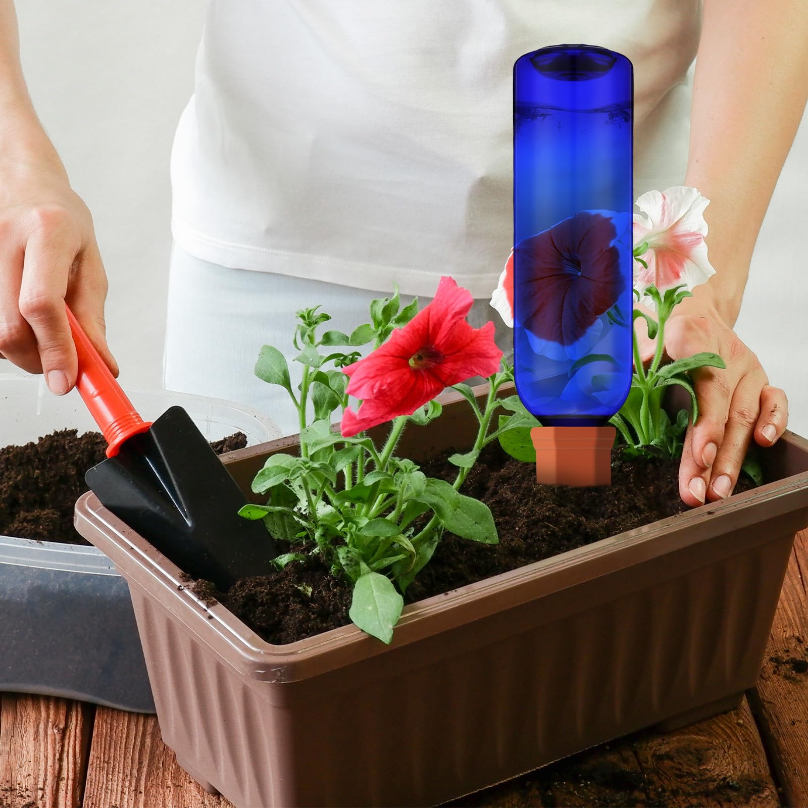 SiliFine in a hanging basket showing hands-free watering benefit for suspended plants