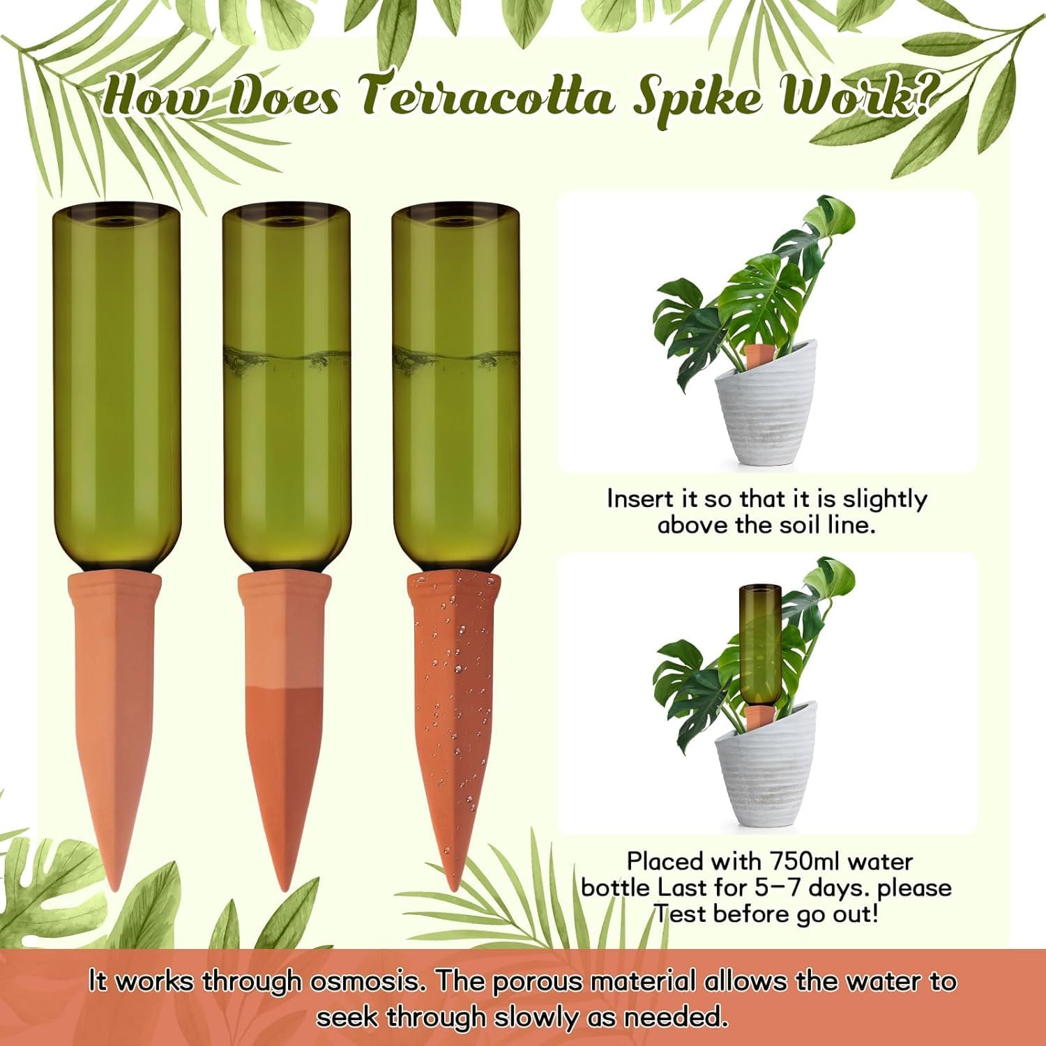 SiliFine watering spike inserted in pot, steady root-zone moisture delivery