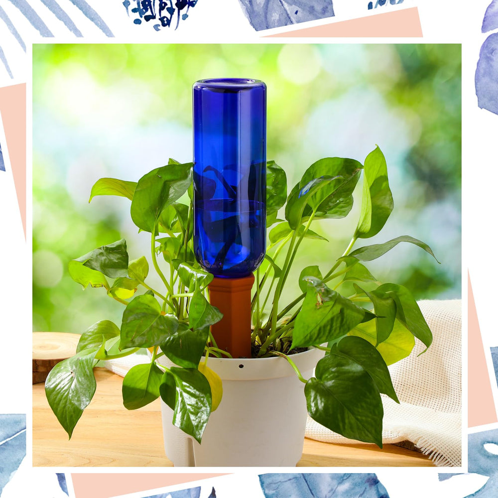 SiliFine balcony lifestyle with spikes and bottles displayed, adding color and care