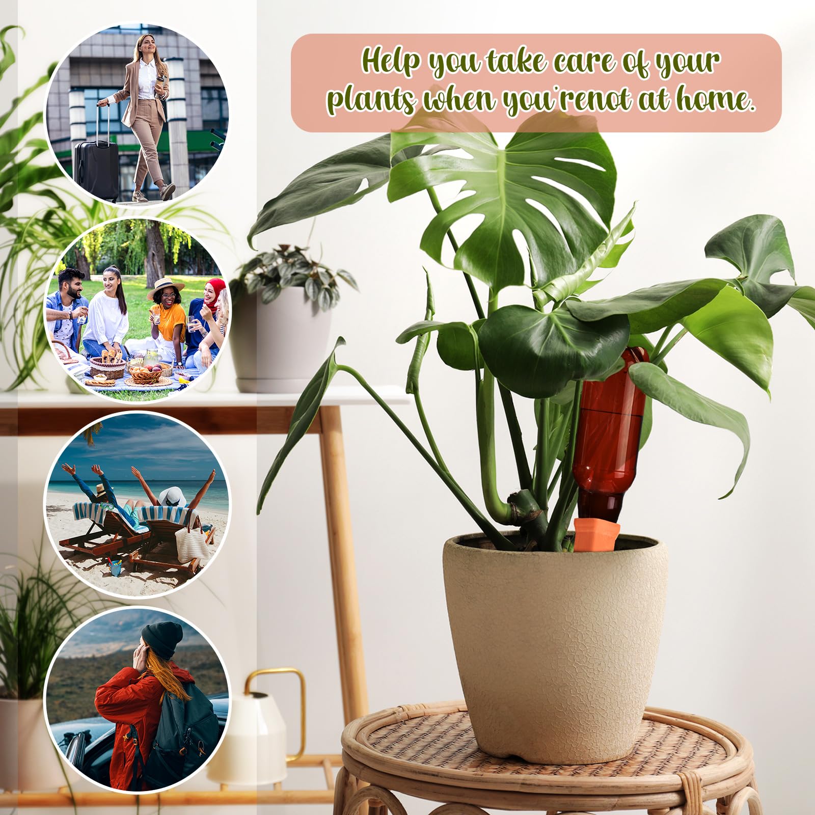 SiliFine balcony setup with spikes caring multiple potted plants while away