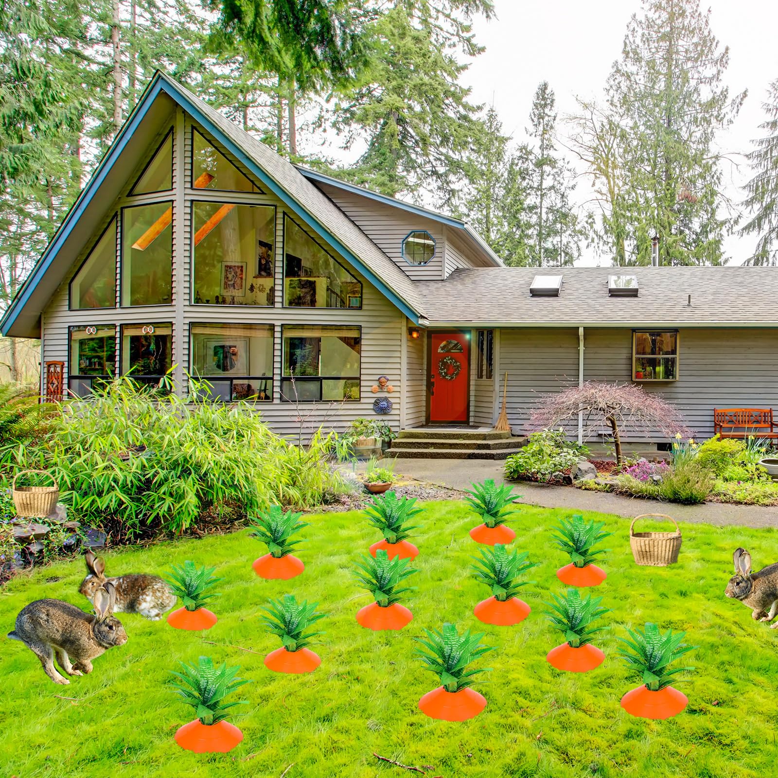 Silipull clustered carrot stakes in front yard, creates eye-catching Easter display