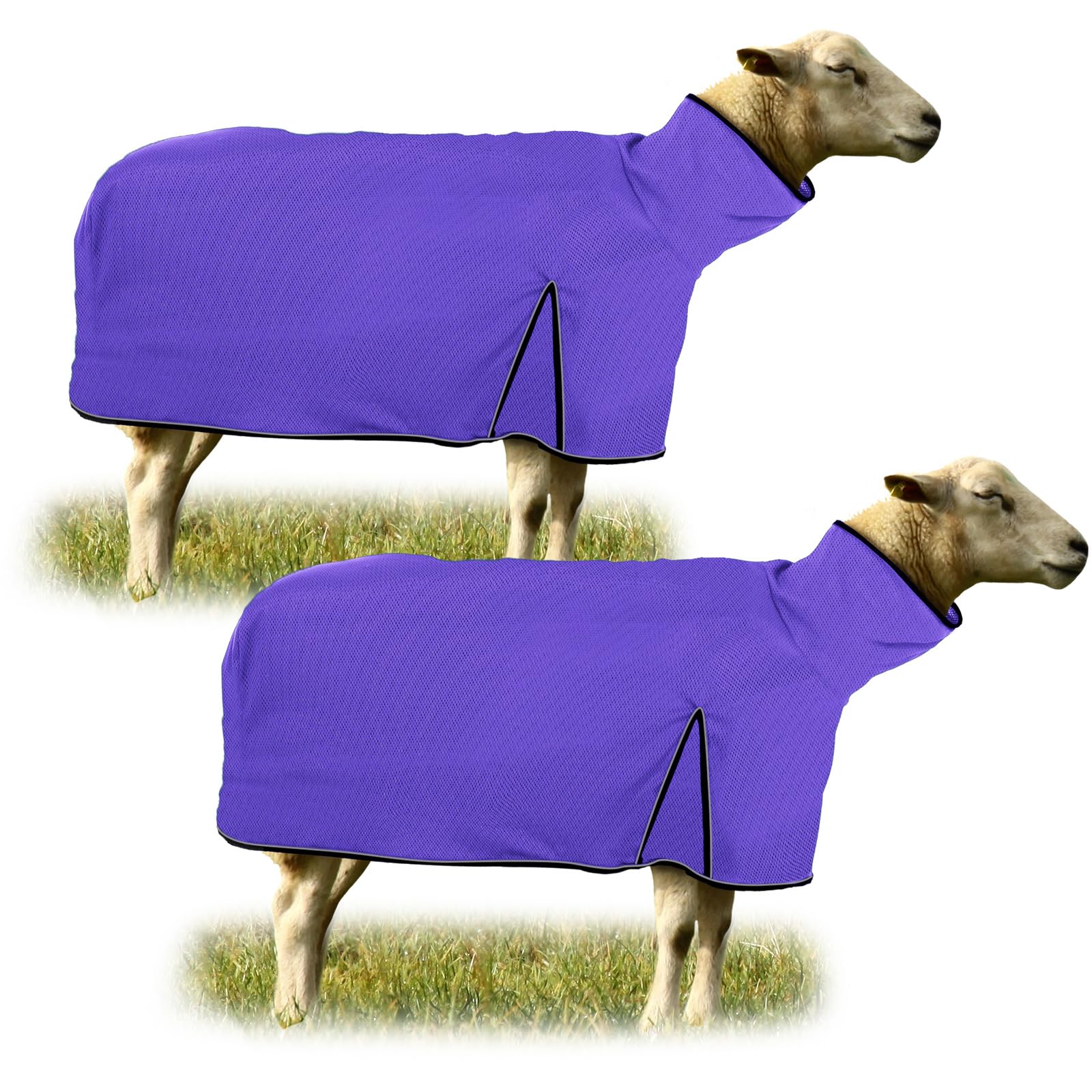 Silkfly front view of blanket showing full coverage and neat fit benefits comfort