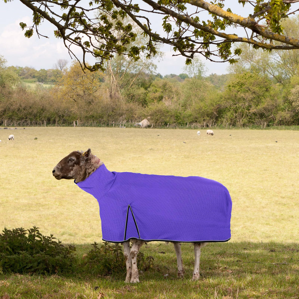 Silkfly blanket beside lamb for size comparison aiding correct fit selection