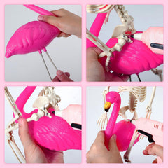 Simgoing skeleton close-up highlighting posable joints and durable plastic for customizable poses