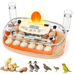 Sindarhor front view with dome showing compact incubator and clear observation benefit