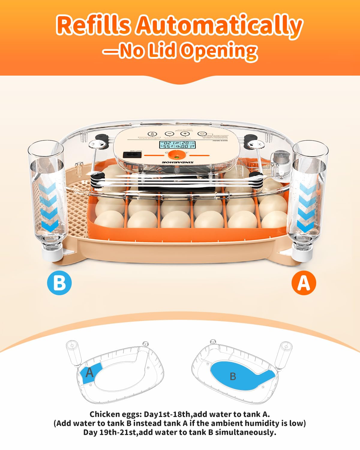 Sindarhor transparent dome with chicks hatching showing educational observation benefit
